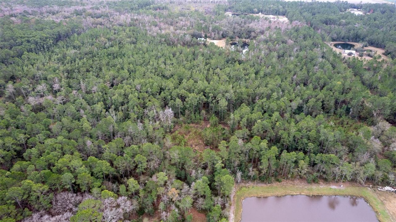 4405 State Road 206 W, Elkton, FL 32033 Photo