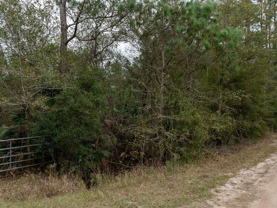 Property Image 6
