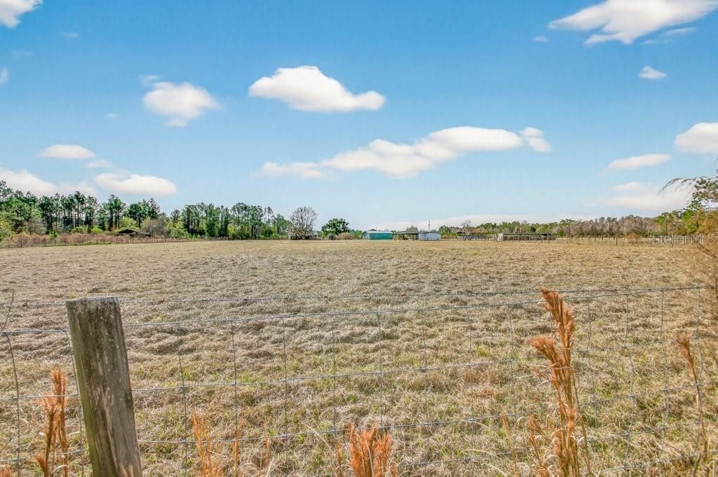 16815 NE 95th Avenue, Waldo, FL 32694 Photo