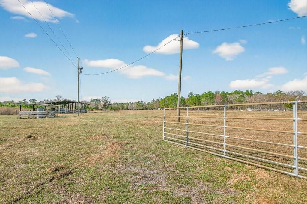 16815 NE 95th Avenue, Waldo, FL 32694 Photo