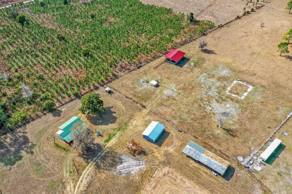 16815 NE 95th Avenue, Waldo, FL 32694 Photo