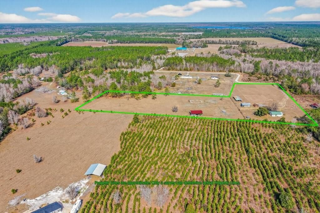 16815 NE 95th Avenue, Waldo, FL 32694 Photo