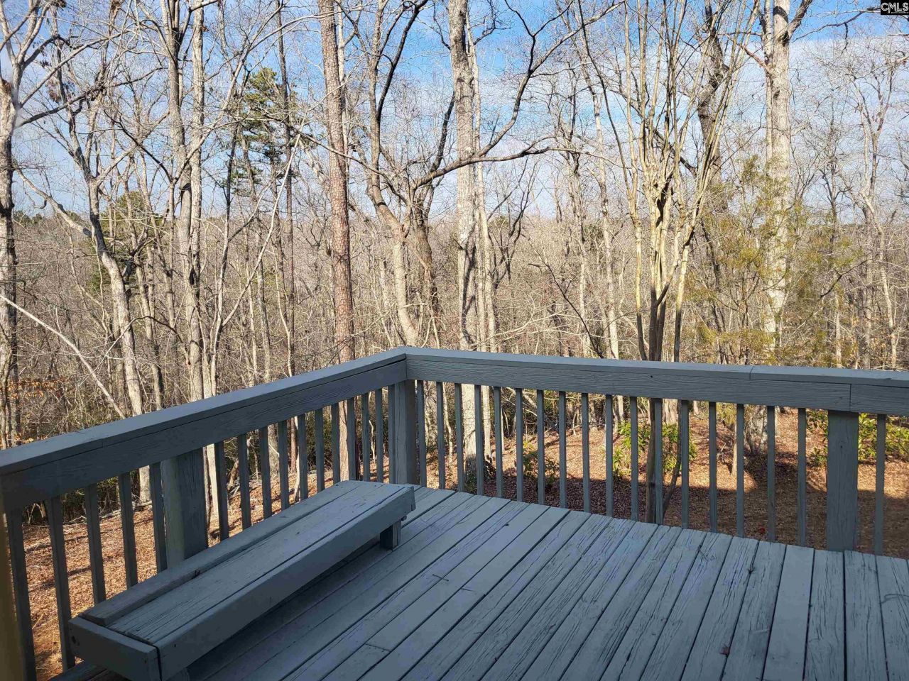 131 Misty Mountain Lane Photo 25