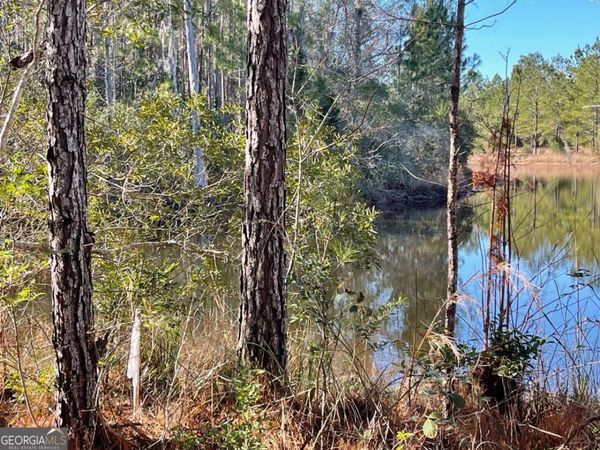 0 Landing Trail, Waynesville, GA 31566