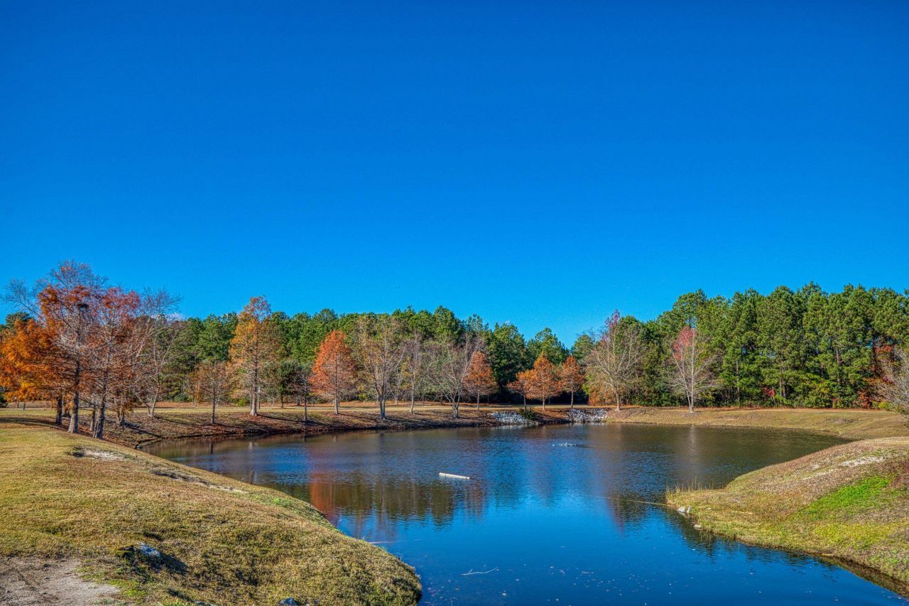 205 Threshing Way Photo 39