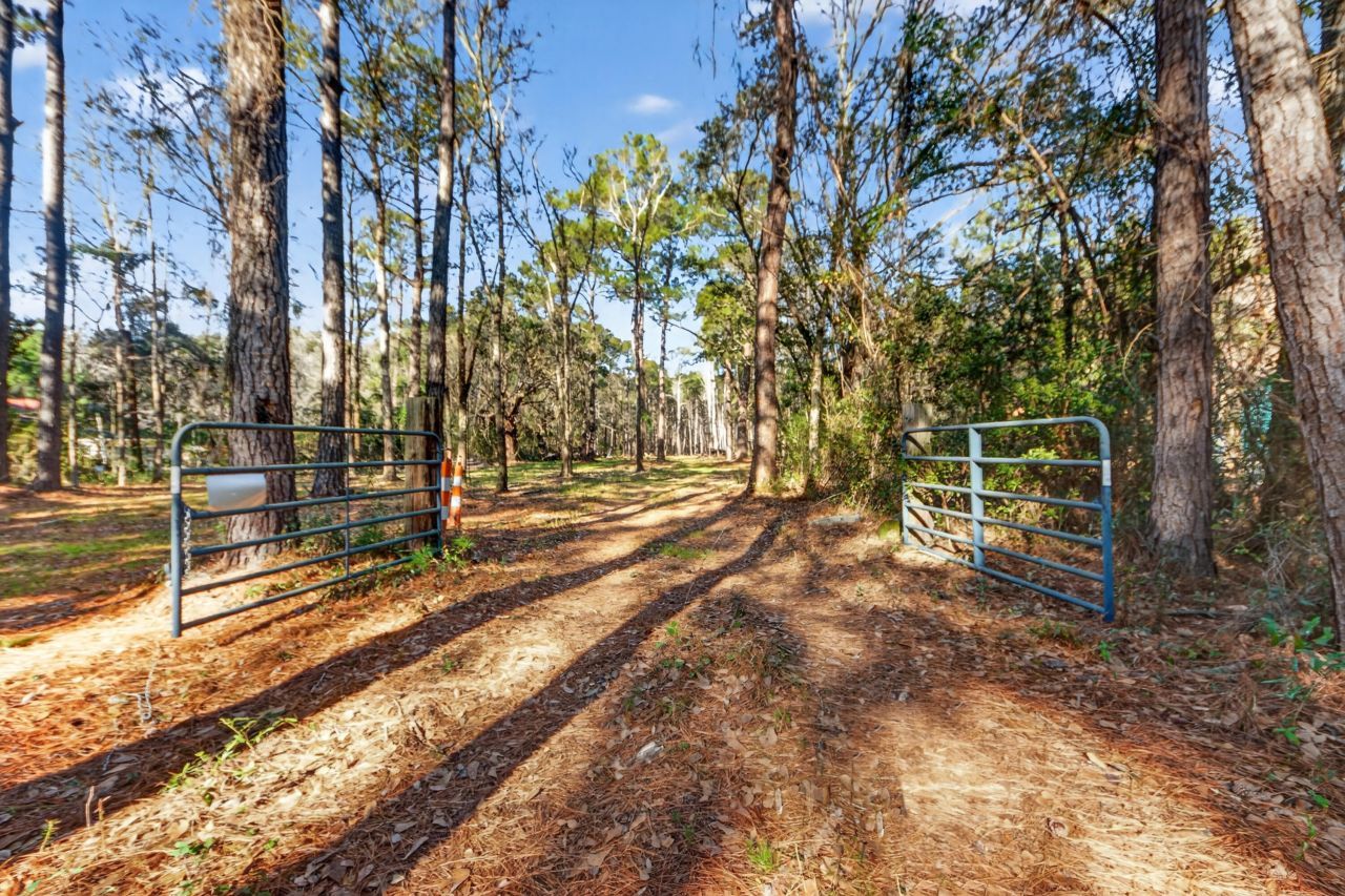 00 Dupre Road Photo 16