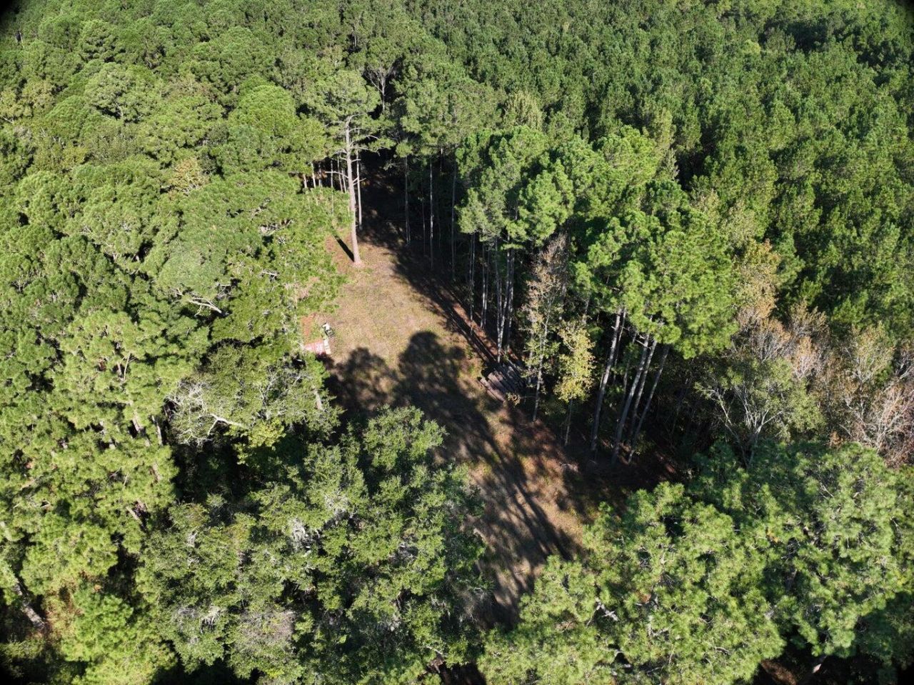 00 Dupre Road Photo 4