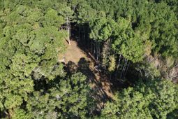 00 Dupre Road photo 4