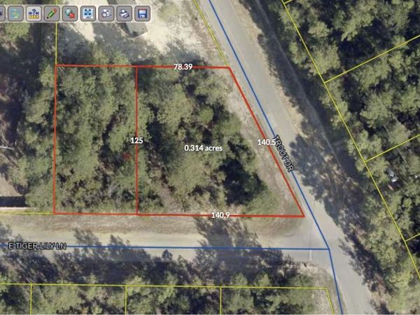 Lot 41 E TIGER LILY Lane, DeFuniak Springs, FL 32433