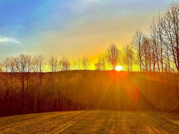 967 Walden Drive, Signal Mountain, TN 37377