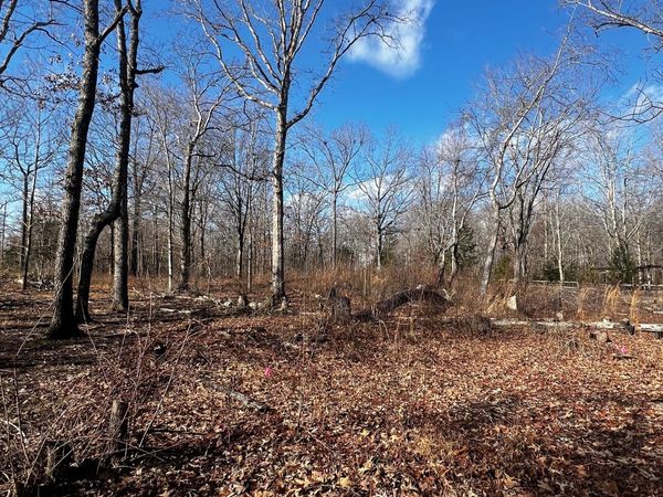 0 Bull Run , Beechgrove, TN 37018