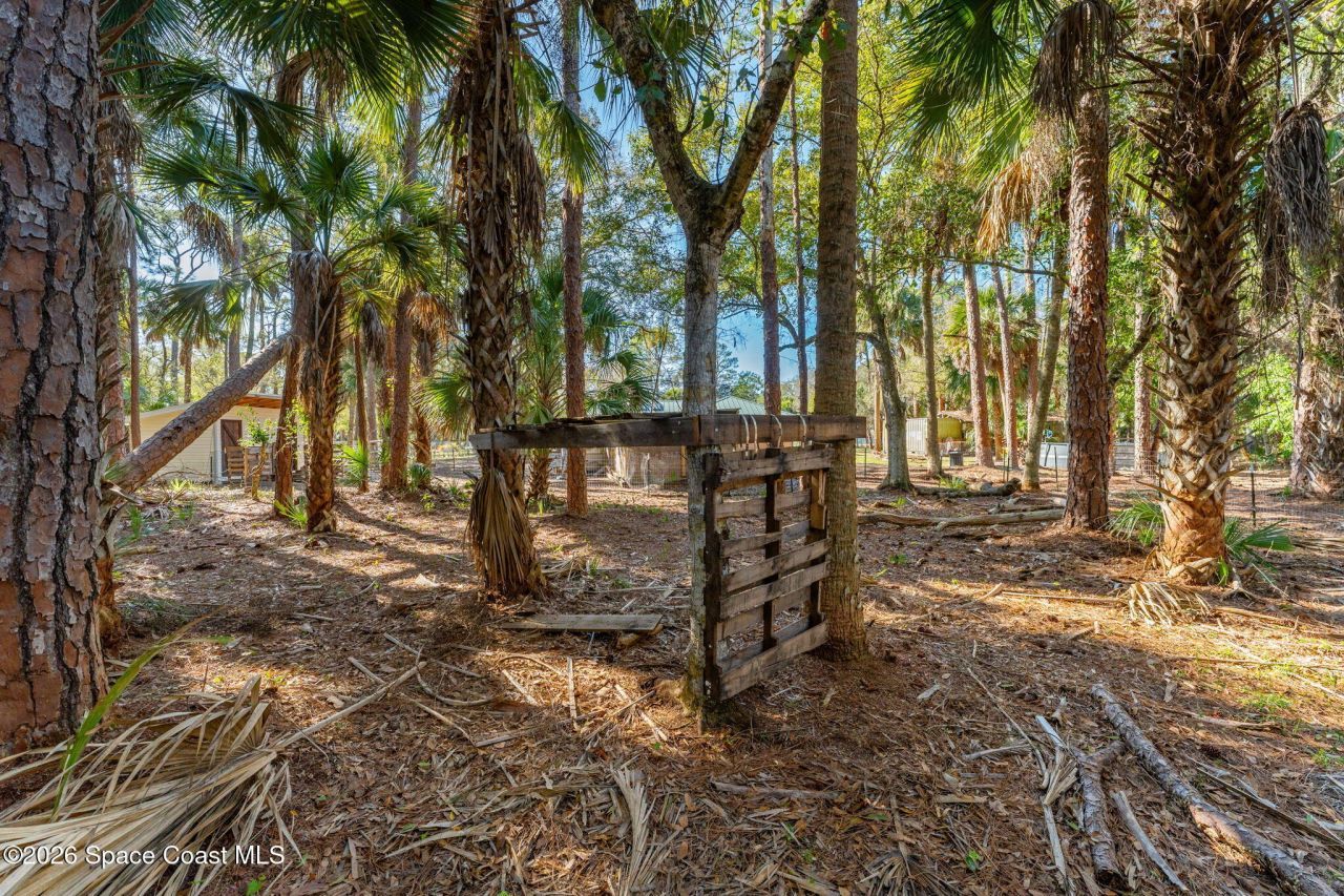 3975 Corey Road, Malabar, FL 32950 Photo