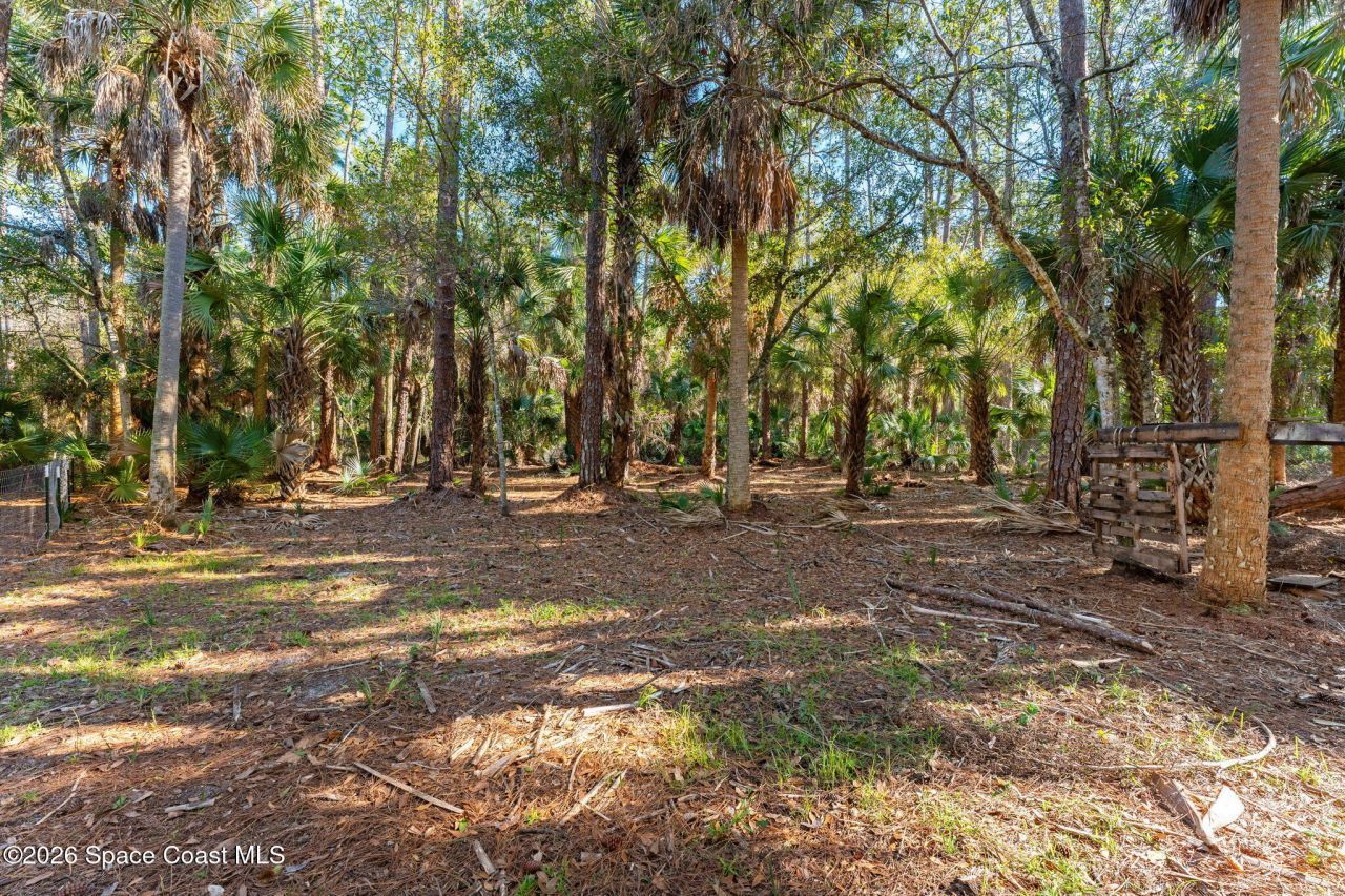 3975 Corey Road, Malabar, FL 32950 Photo