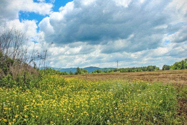 00 Highway 64 East, Murphy, NC 28906 Main Photo