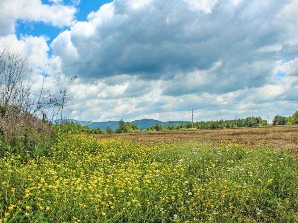 00 Highway 64 East, Murphy, NC 28906