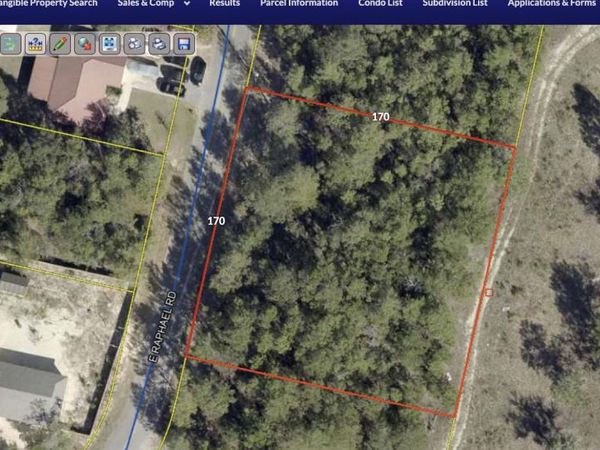 LOTS96&97 E Raphael East Road, DeFuniak Springs, FL 32433