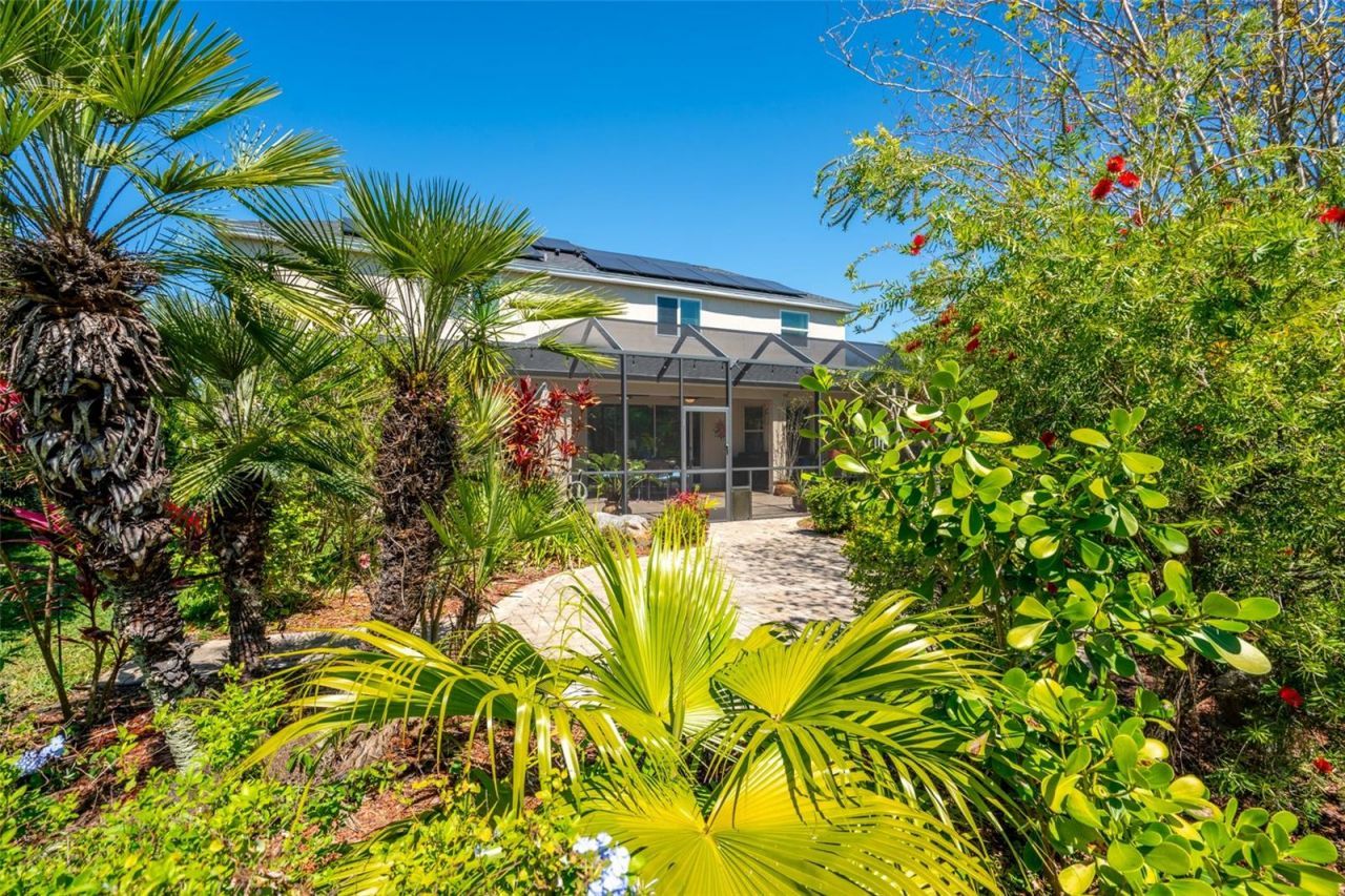 309 Royal Bonnet Drive, Apollo Beach, FL 33572 Photo