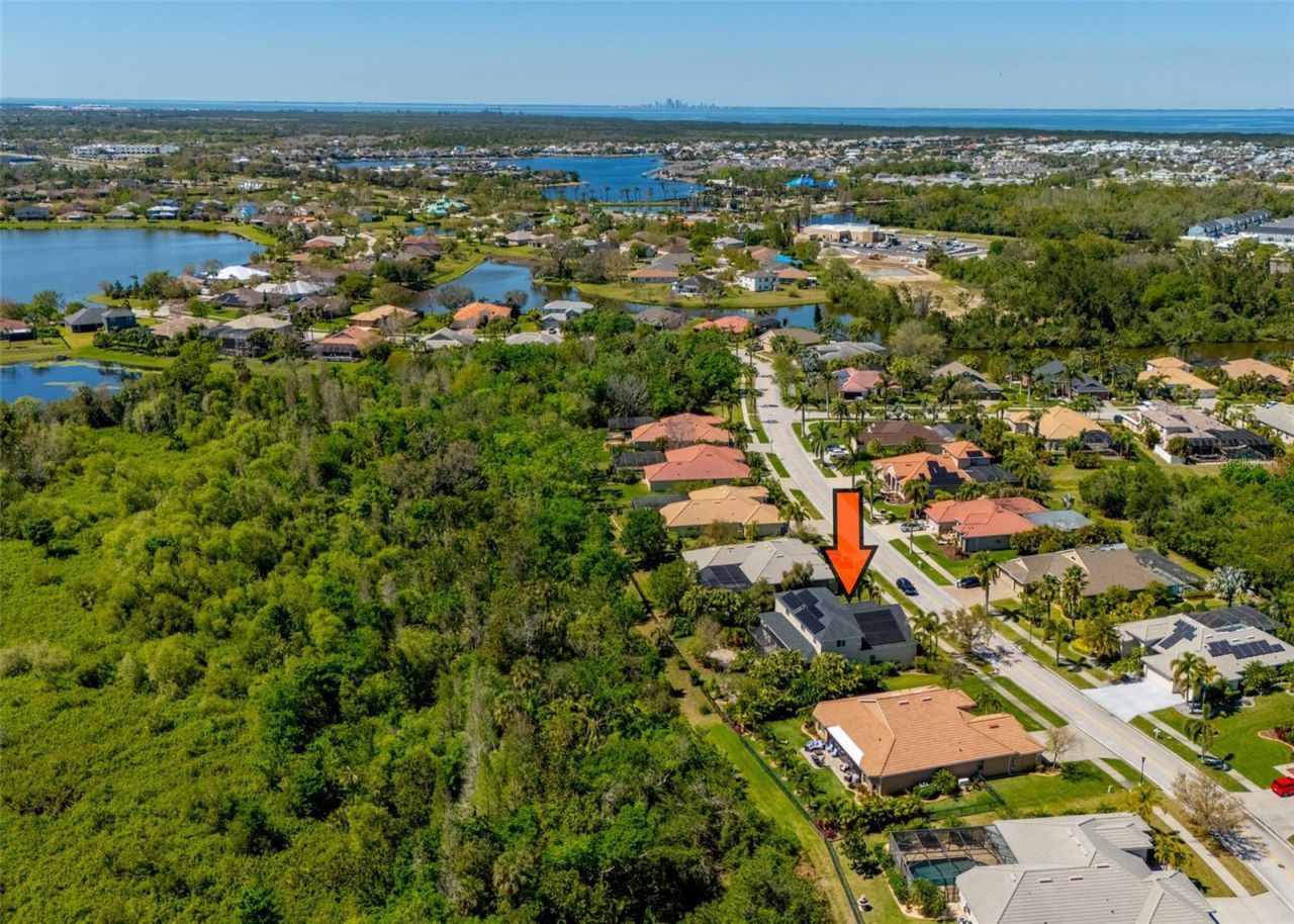 309 Royal Bonnet Drive, Apollo Beach, FL 33572 Photo