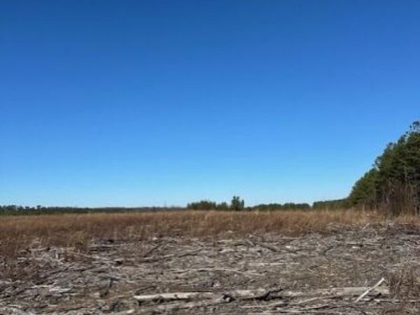 Tract 2 50th Avenue, Gruetli Laager, TN 37339