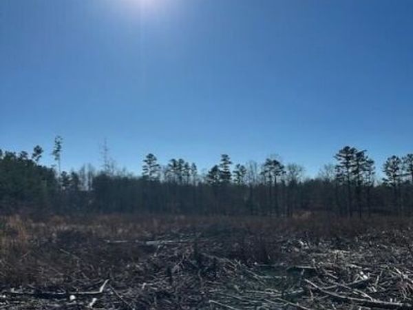 1 50th Avenue , Gruetli Laager, TN 37339