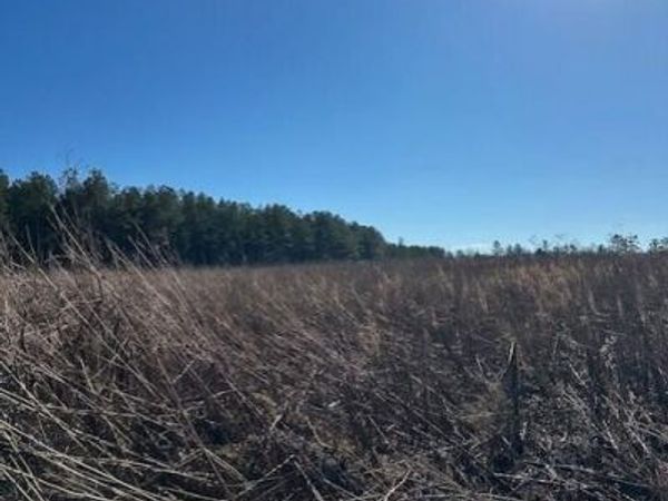 3 50th Avenue , Gruetli Laager, TN 37339