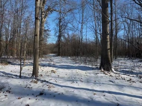 7021 Palms Road Road , Ira Twp, MI 48023