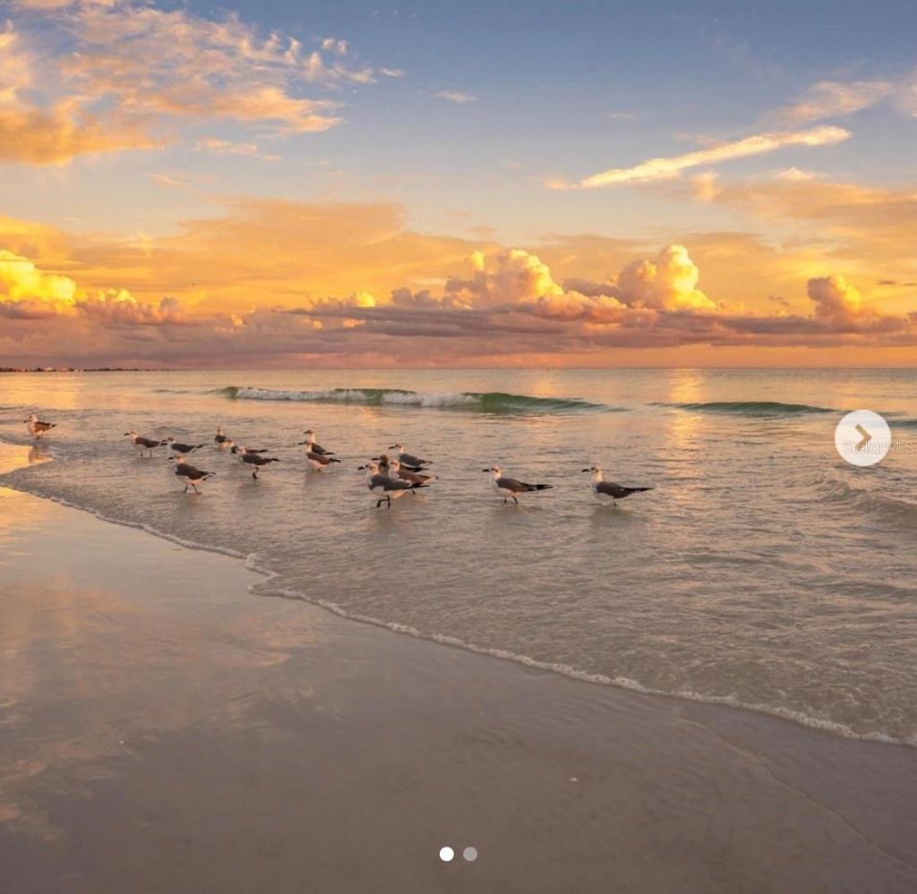 5830 Midnight Pass Road, Unit 94, Sarasota, FL 34242 Photo