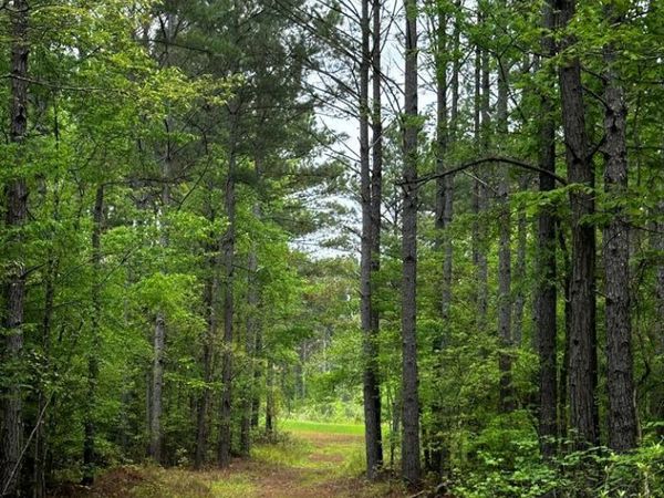 TBD Hwy 331, Oxford, MS 38655