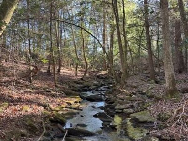 Tract 6 50th Avenue, Gruetli Laager, TN 37339