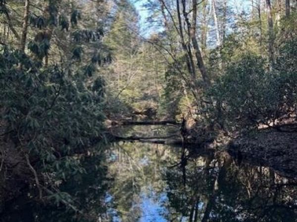 Tract 7 50th Avenue, Gruetli Laager, TN 37339