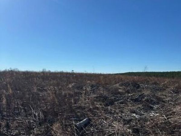 4 50th Avenue , Gruetli Laager, TN 37339