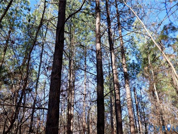 0 Beaver Acres Lane, Buffalo Junction, VA 24529
