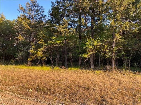 Lot 10 Greenwood Drive, Diamond City, AR 72644