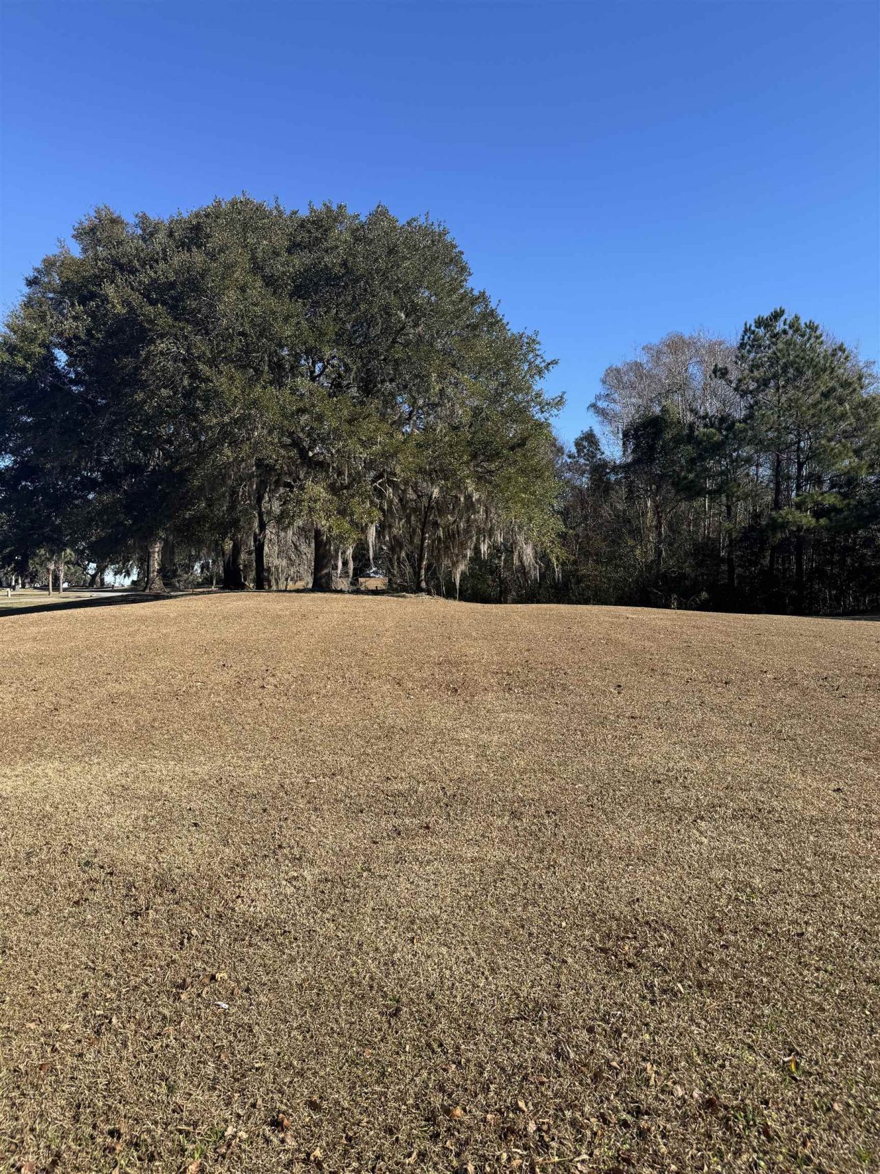 437 Rosebank Rd. Photo 4