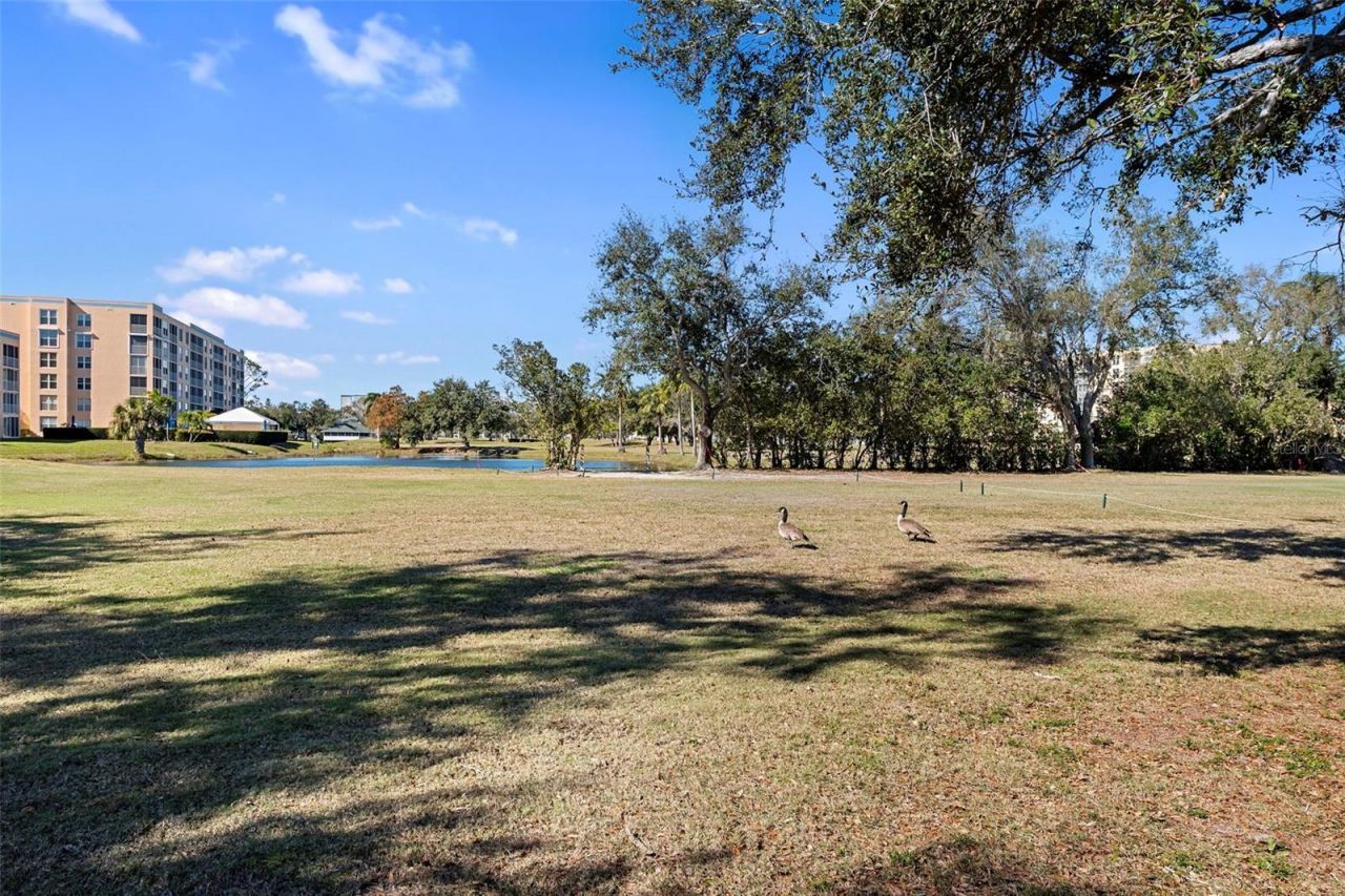 4220 Pinebrook Circle, Unit 10, Bradenton, FL 34209 Photo