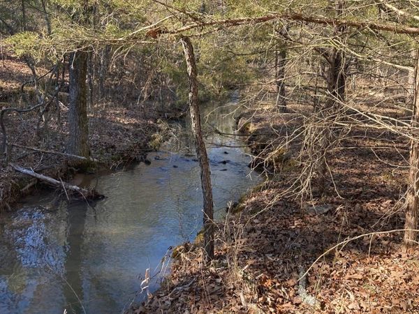 Whispering Pines, Antlers, OK 74523