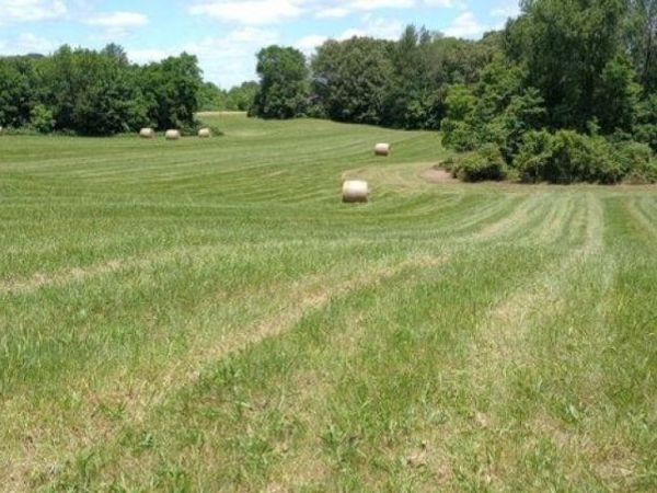 7360 Morgantown Road, Franklin, KY 42134