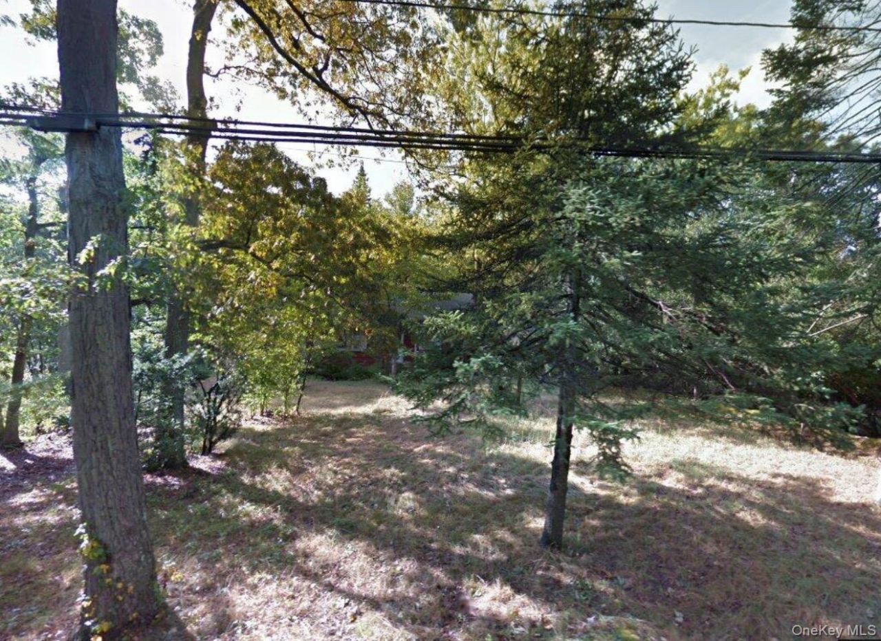 48 Ormond Street, Dix Hills, NY 11746 Main Photo
