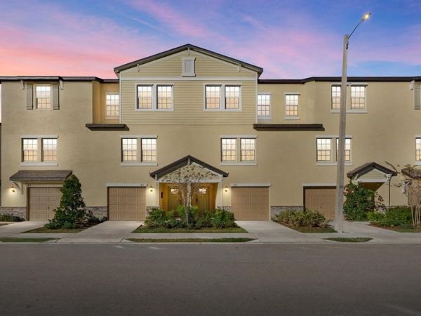 809 TENNYSON MILL CIRCLE, TAMPA, FL 33619