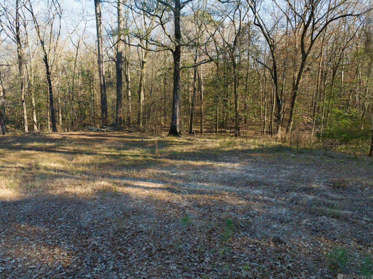 Lot 644a Fairlane Rd, Saint Francisville, LA 70775 Main Photo