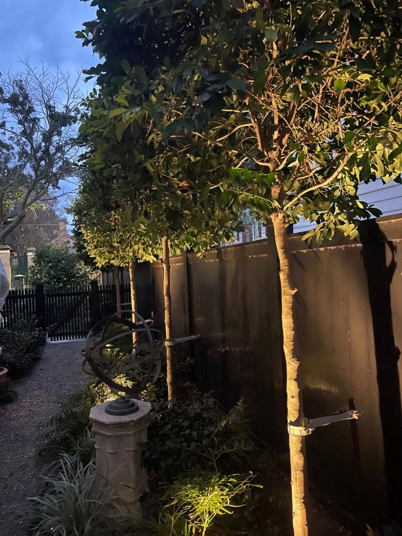 26 Mary Street Photo 84