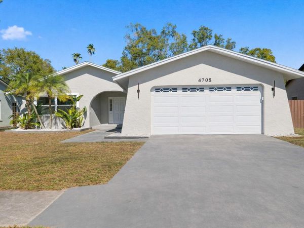 4705 CYPRESS TREE DRIVE, TAMPA, FL 33624