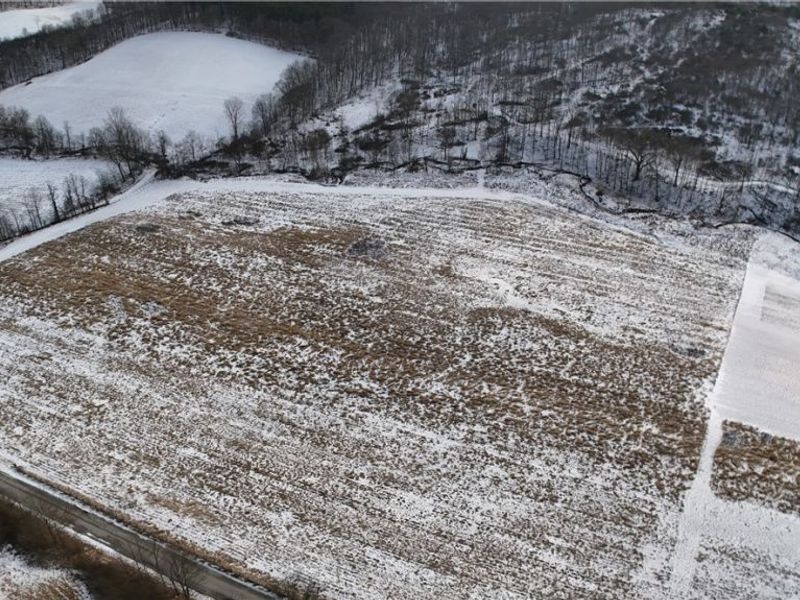 County Road 436, Dresden, OH 43821 Photo 10