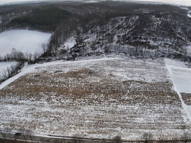 County Road 436, Dresden, OH 43821 Photo 11