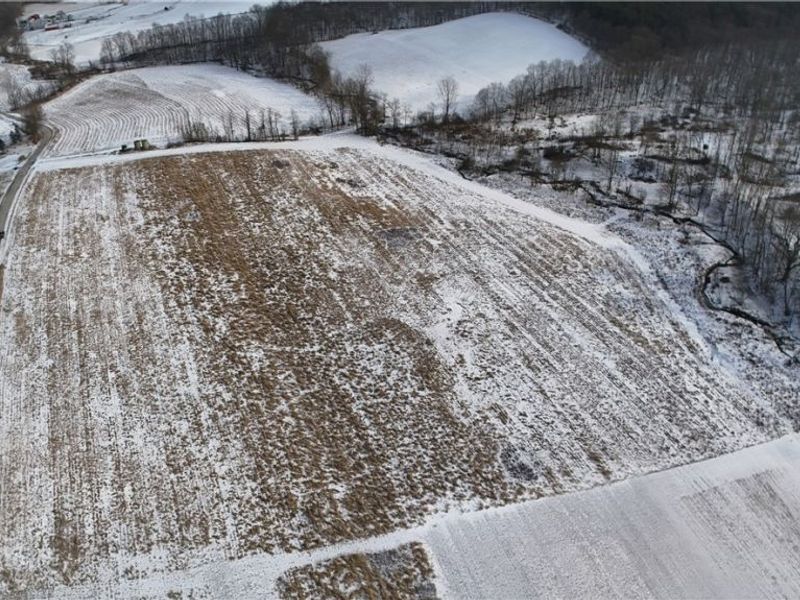 County Road 436, Dresden, OH 43821 Photo 14