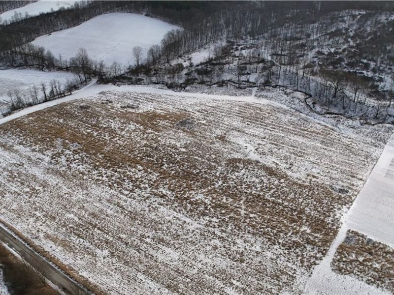 County Road 436, Dresden, OH 43821 Photo 15