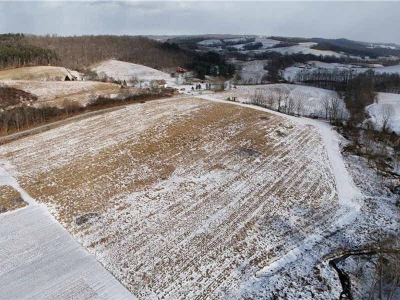 County Road 436, Dresden, OH 43821 Photo 18