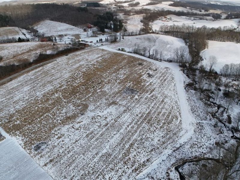 County Road 436, Dresden, OH 43821 Photo 20