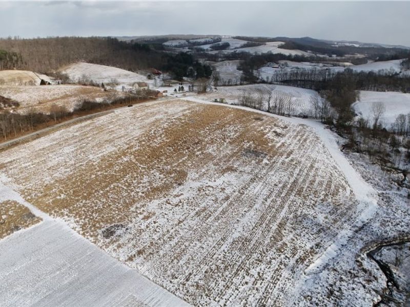 County Road 436, Dresden, OH 43821 Photo 27