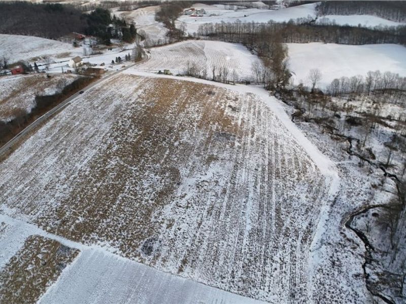 County Road 436, Dresden, OH 43821 Photo 31